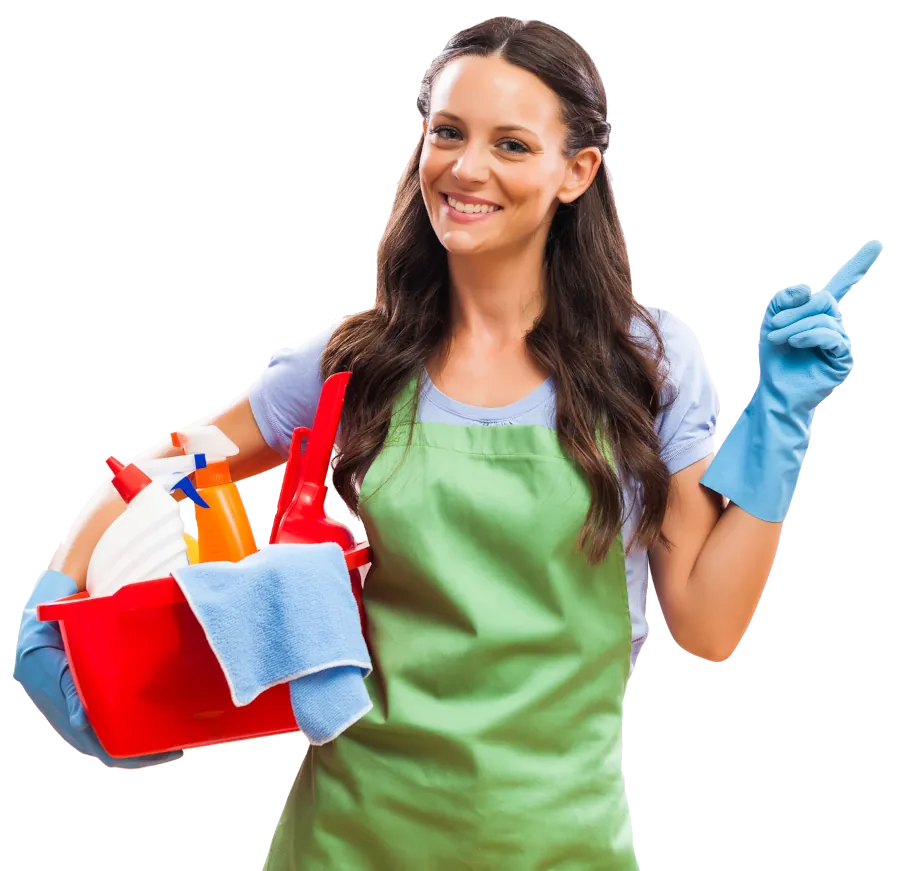 Cleaning Services